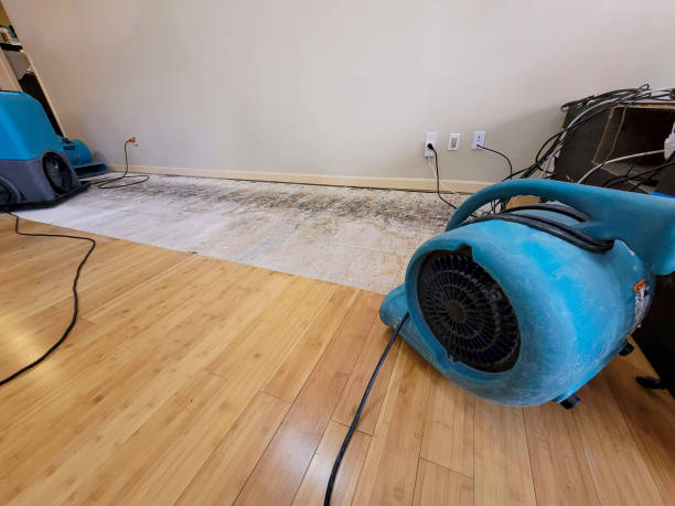 Professional Sewage Cleanup technician working in Greensboro, NC